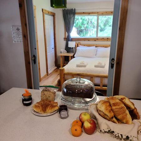 Grizzly Paw B&B Clearwater Bagian luar foto