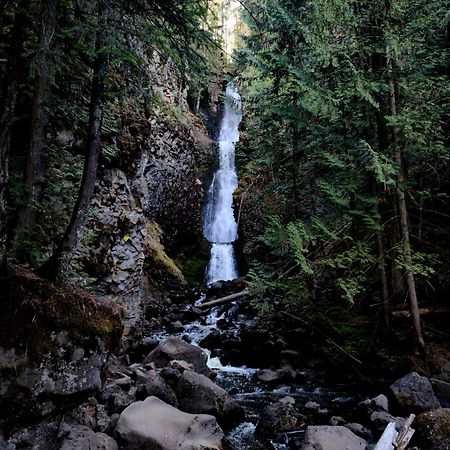 Grizzly Paw B&B Clearwater Bagian luar foto