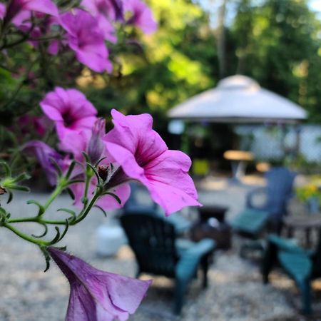 Grizzly Paw B&B Clearwater Bagian luar foto