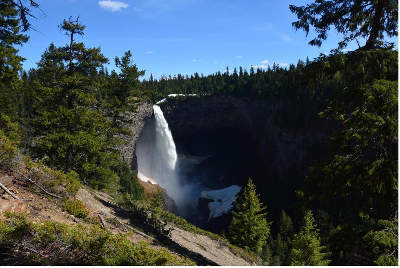 Grizzly Paw B&B Clearwater Bagian luar foto