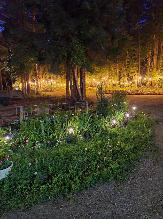Grizzly Paw B&B Clearwater Bagian luar foto