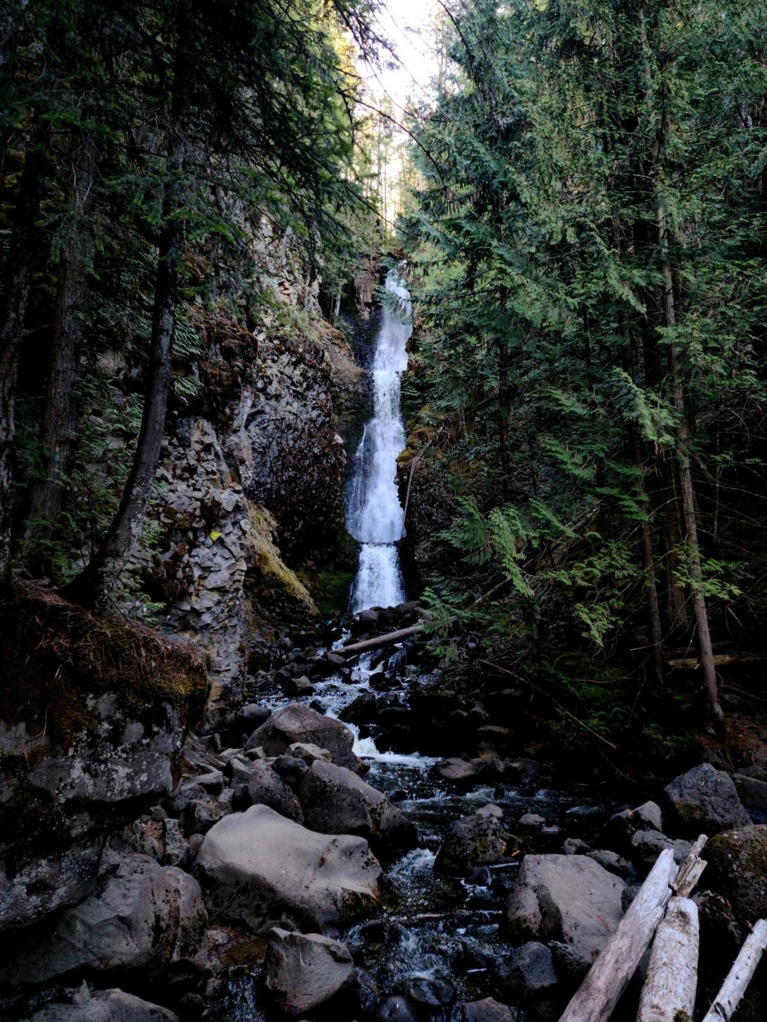 Grizzly Paw B&B Clearwater Bagian luar foto