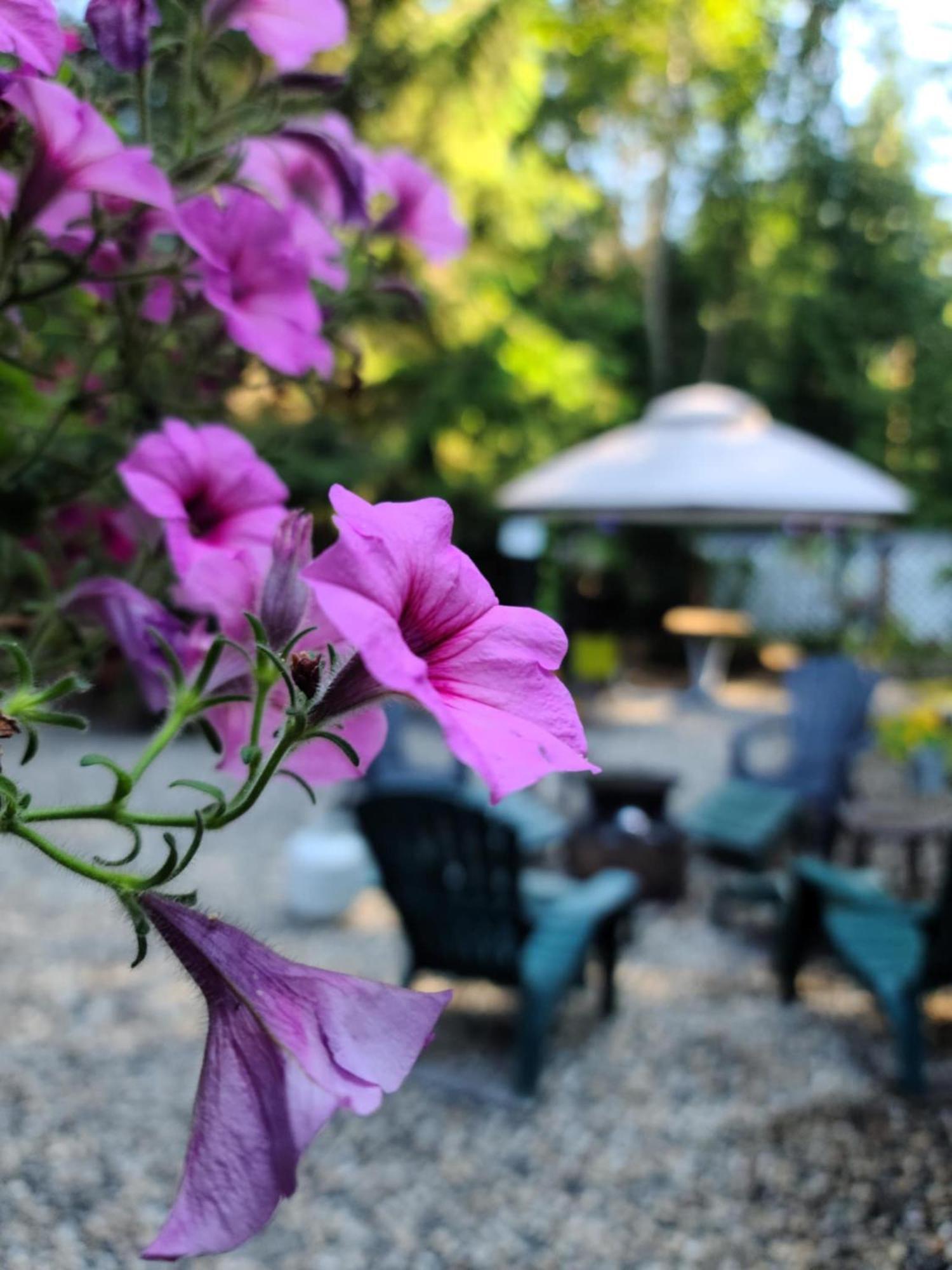 Grizzly Paw B&B Clearwater Bagian luar foto